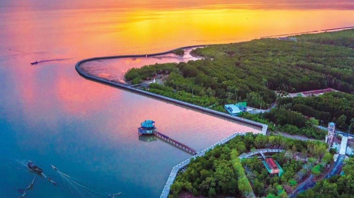 Bức tranh thiên nhiên Cà Mau với sông nước và cây xanh