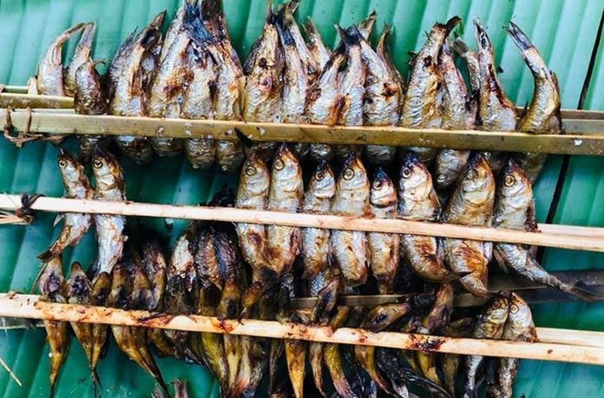 Cá nướng tươi ngon từ Hồ Ba Bể