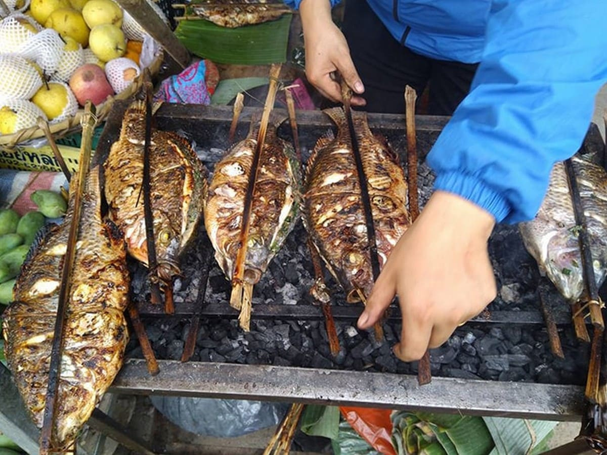 Cá suối nướng trên than hồng - hương vị núi rừng Hòa Bình