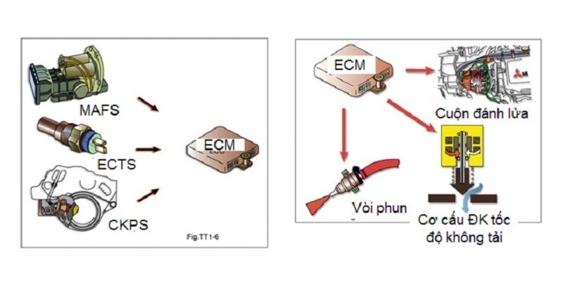 ECM/ECU kiểm soát các hệ thống quan trọng của động cơ như đánh lửa