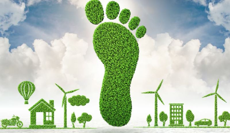 Lợi ích của việc giảm dấu chân carbon đối với môi trường