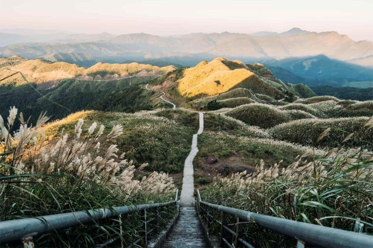Sống lưng khủng long Bình Liêu