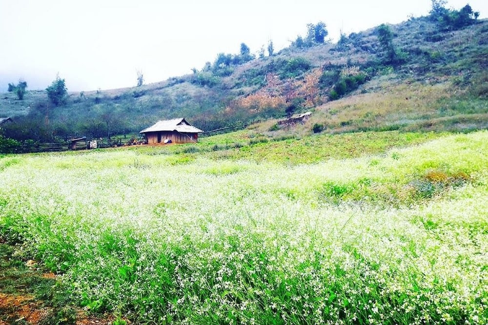 Bản đồ du lịch Mộc Châu Sơn La bằng ô tô tự lái
