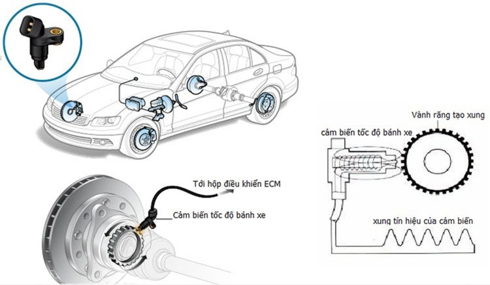 Nguyên lý hoạt động cảm ứng từ của cảm biến tốc độ ô tô